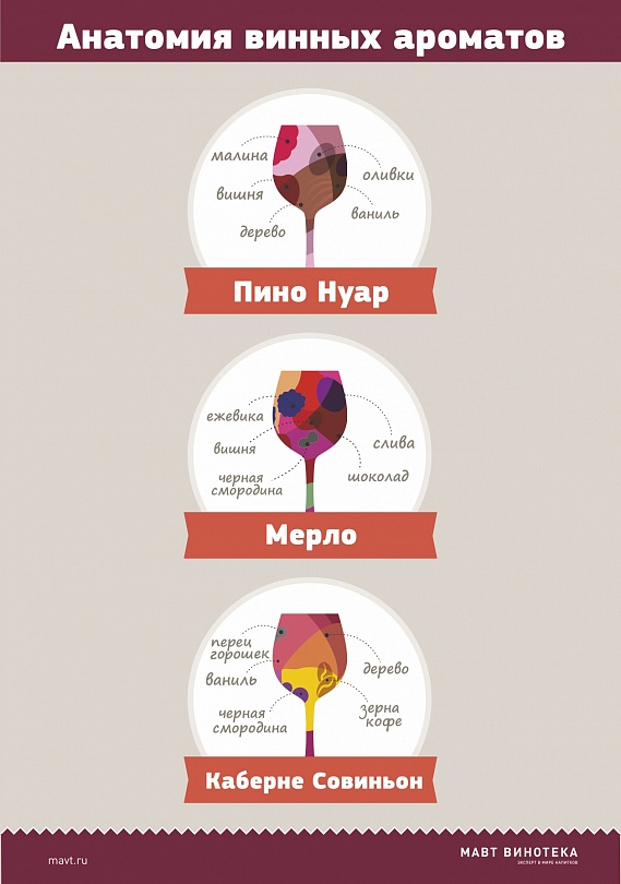 Анатомия винных ароматов